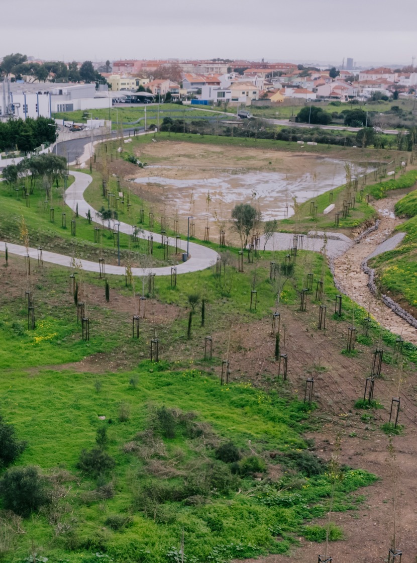 Bacia de retenção, ajardinamentos, arquitetura paisagista 
